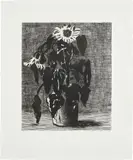 David Hockney, Sunflower I (M.C.A.T. 347), 1995, Etching and aquatint, on Arches watercolour paper, with full margins
