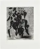 David Hockney, Sunflower II (M.C.A.T. 348), 1995, Etching and aquatint, on Arches watercolour paper, with full margins