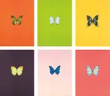 New Beginnings by Damien Hirst, 2011, The complete set of six polymer gravure block prints in colours (pink faded), on Zerkall paper, the full sheets, sold Jan 2021