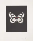 Regeneration by Damien Hirst, 2009, Etching and aquatint in colours, on wove paper, with full margins, sold Jan 2021