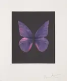 Renewal by Damien Hirst, 2009, Etching and aquatint in colours, on wove paper, with full margins, sold Jan 2021