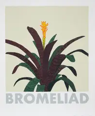 Bromeliad by Jonas Wood, 2020, Screenprint in colours, on rising museum board, with full margins, sold Jan 2021