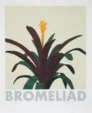 Jonas Wood, Bromeliad, 2020, Screenprint in colours, on rising museum board, with full margins