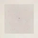 Thomas Ruff, C-Print (for Parkett No. 28)