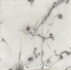Cai Guo-Qiang, Foreplay, 2006, Gunpowder, on light card, the full sheet, folded (as issued), contained in the original printed envelope