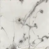 Cai Guo-Qiang, Foreplay, 2006, Gunpowder, on light card, the full sheet, folded (as issued), contained in the original printed envelope