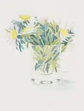 David Hockney, Marguerites (S.A.C. 157, M.C.A.T. 141), 1973, Etching and aquatint in colours, on Arches paper, with full margins