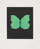 Tribulation, from Butterfly Etchings by Damien Hirst, 2009, Etching and aquatint in colours, on wove paper, with full margins, sold Jun 2021