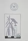 Notepad Doodle 3 (State III) by Jonas Wood, 2018, Lithograph in colours, on grey Magnani Pescia paper, with full margins, offered Jun 2021