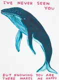 David Shrigley, I've Never Seen You, 2020, Screenprint in colours with varnish overlay, on Somerset Satin paper, the full sheet