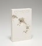 Daniel Arsham, Fictional Nonfiction: Archaeology 3019, 2019, Cast multiple in plaster and crushed glass, contained in the original foam-lined presentation box
