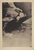 Aus dem Eurasienstab (From Eurasia Staff) (S. 75) by Joseph Beuys, 1973, Screenprint in black, on light newsprint paper, with full margins, sold Jun 2021