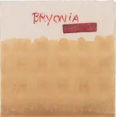 BRYONIA by Joseph Beuys, 1981, Unique work comprised of wax and red felt-tip pen, on white paper napkin, offered Jun 2021