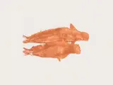 Joseph Beuys, Meerengel zwei Robben (Sea Angel Two Seals), from Zirkulationszeitsuite (Suite Circulation Time) (S. 429), 1982, Etching and aquatint in colours, on Arches paper, with full margins