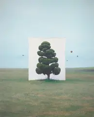 Tree #2 by Myoung Ho Lee, 2006, Archival pigment print, mounted, sold May 2021