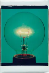 Amanda Means, Light Bulb 00031C, 2001, Unique colour Polaroid print