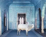 Karen Knorr, The Gatekeeper, Zanana, Samode Palace from India Song, 2010, Archival pigment print, mounted