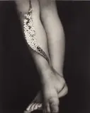 Sally Mann, Gooseneck Loosestrife