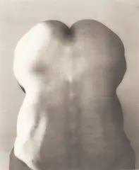 Raymond by Robert Mapplethorpe, 1985, Platinum print, sold May 2021