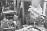 Henri Cartier-Bresson, Henri Matisse, Vence, France