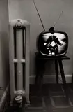 Florida by Lee Friedlander, 1963, Gelatin silver print, printed later, sold May 2021