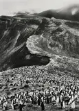 Sebastião Salgado, Chinstrap Penguins (Psygoscelis Antarctica), Deception Island, Antarctica