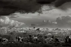 Tanzania by Sebastião Salgado, 1994, Gelatin silver print, sold May 2021