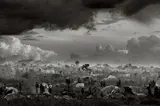 Sebastião Salgado, Tanzania