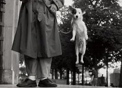 Paris by Elliott Erwitt, 1989, Gelatin silver print, printed later, sold May 2021