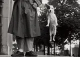 Elliott Erwitt, Paris