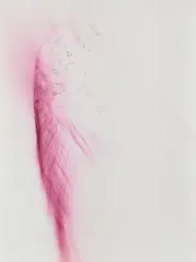 Zero Gravity VI by Wolfgang Tillmans, 2003, Unique chromogenic print, sold Nov 2021