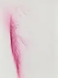 Wolfgang Tillmans, Zero Gravity VI, 2003, Unique chromogenic print