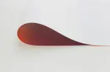 Wolfgang Tillmans, paper drop (reversed)