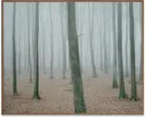 Nicolai Howalt and Trine Søndergaard, The Giant Hill from How to Hunt, 2005, Chromogenic print, mounted