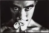 Eikō Hosoe, Ordeal by Roses #32, 1961, Gelatin silver print, printed later