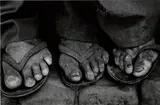 Sebastião Salgado, Brazil