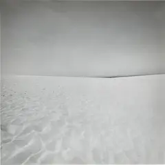 Cape Cod by Harry Callahan, 1972, Gelatin silver print, sold Nov 2021