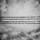 Matt Black, Birds, Tulare, California from American Geography, 2014, Archival pigment print, mounted