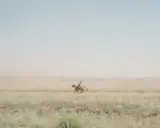 Nanna Heitmann, Horse Race from Hiding from Baba Yaga, July 2018, Archival pigment print, mounted