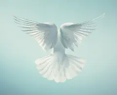 Tim Flach, Spirit from More Than Human, December 2012, Chromogenic print