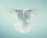 Tim Flach, Spirit from More Than Human, December 2012, Chromogenic print