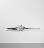 Vincent Dubourg, ‘Nouvelle Zelande Shelf’, 2010, Painted oak