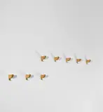 Carlo Scarpa, Set of eight wall-mounted coat hangers