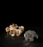Ursula Morley Price, 'Ruffle Form', circa 1982, Stoneware, layered slips and glazes