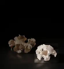 'Ruffle Form' by Ursula Morley Price, circa 1982, Stoneware, layered slips and glazes, sold Nov 2021