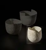 John Ward, Bud form bowl