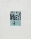 Peter Doig, White Out