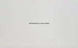 Haim Steinbach, intentionally left blank