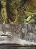 Ernesto Neto, body and skin