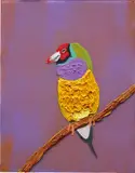 Marcus Jahmal, Gouldian Finch, 2016, oil and acrylic on Plexiglas